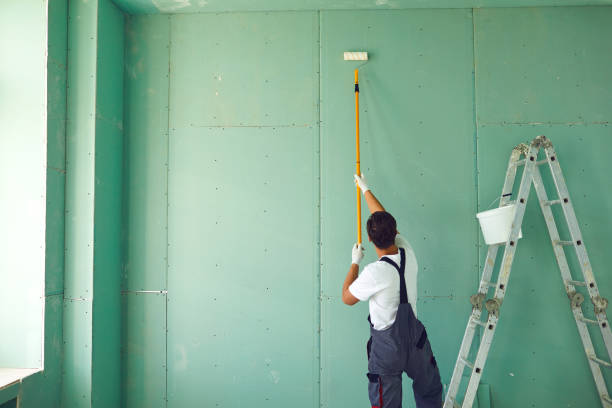 Best Repainting for Renovations  in USA